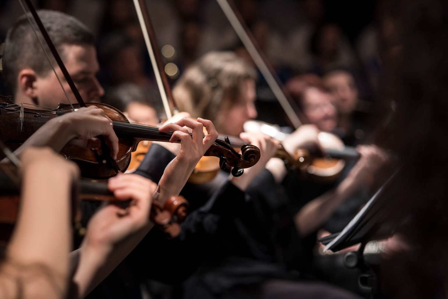 Come l’Orchestra dei Fiori trasforma la musica in emozione