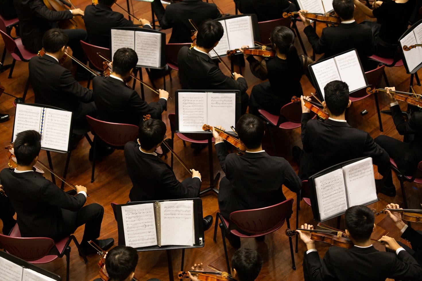 Dettagli esclusivi sull’Orchestra dei Fiori 2025