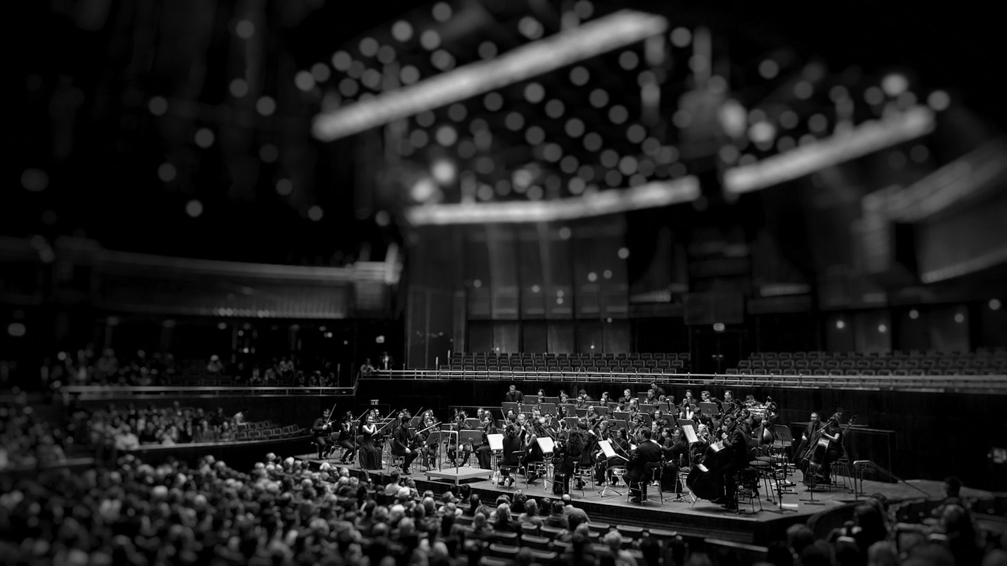 Orchestra dei Fiori: un tributo alla bellezza naturale e sonora